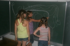 OLYMPUS DIGITAL CAMERA